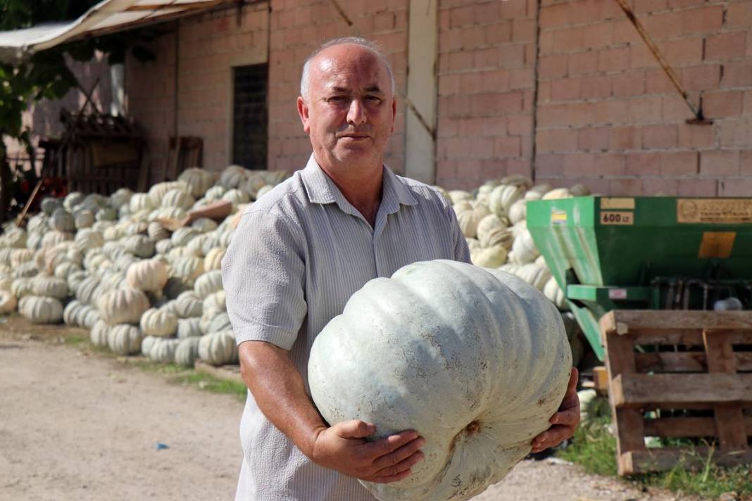 O ilimizde yetişiyor: Almanlar ve İtalyanlar kapış kapış alıyor! Çorba, lokum, marmelat, reçel yapılıyor 10